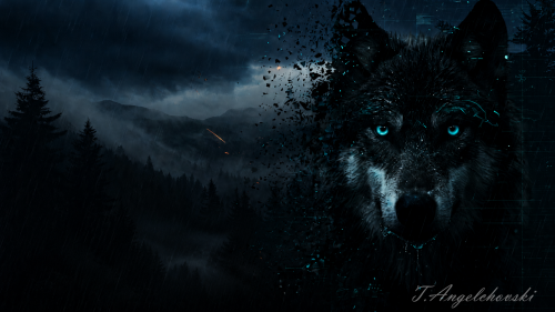 wallpaper2.png